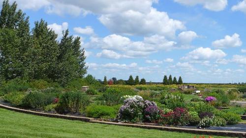 Plant beds at the NDSU Horticulture 研究 & 示范花园 